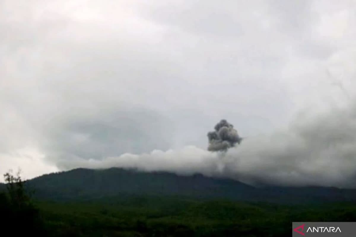 Gunung Lewotobi Laki-laki Erupsi, Abu Capai 1,2 Km